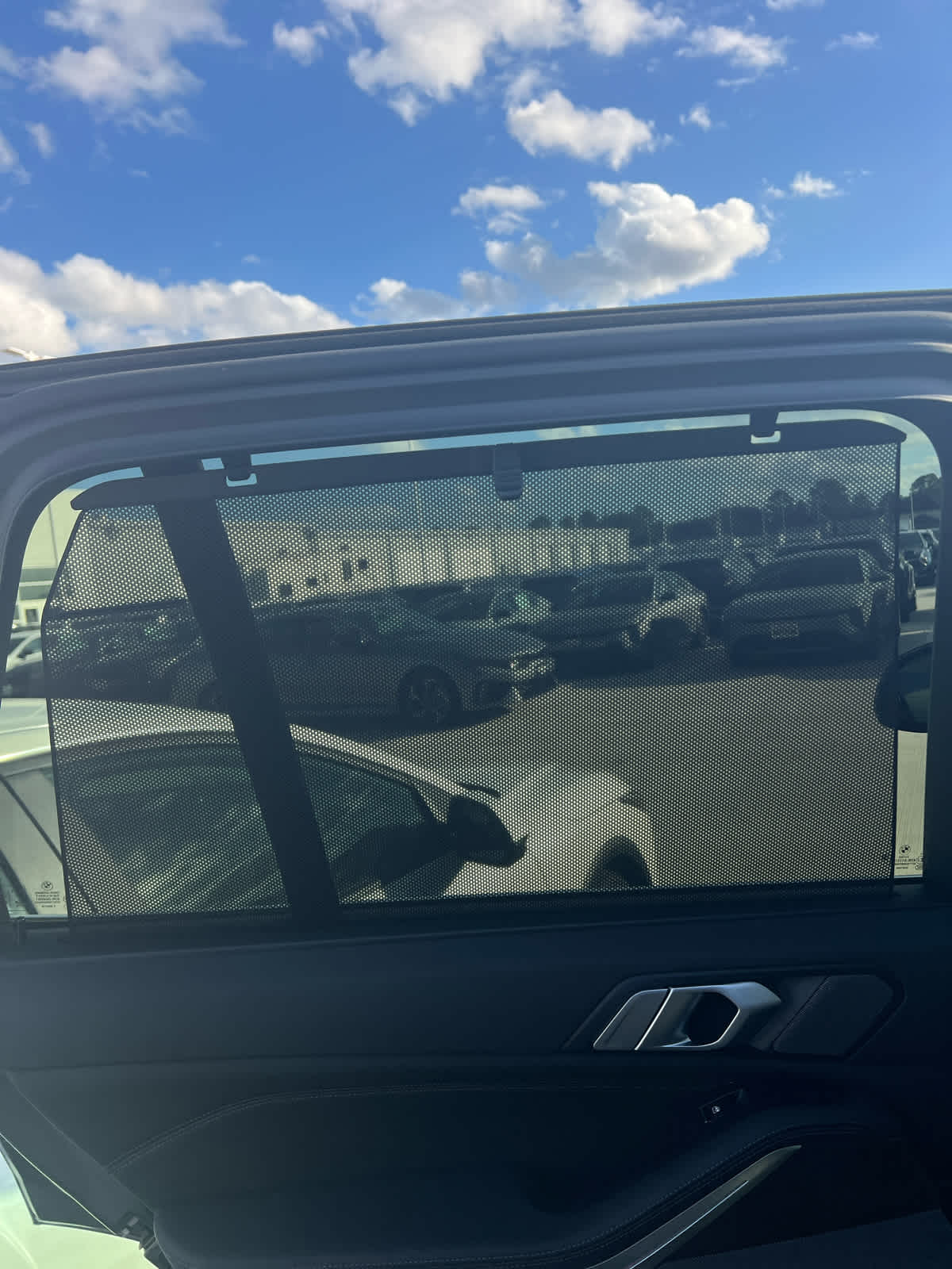 2019 BMW X5 xDrive40i Sports Activity Vehicle