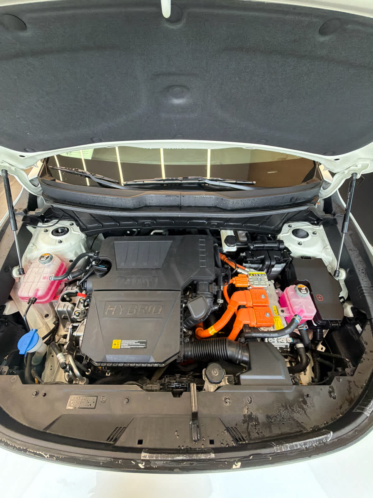 2023 Kia Niro EX FWD